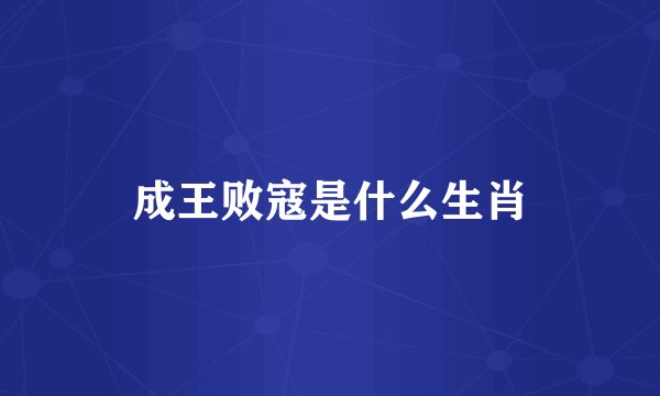 成王败寇是什么生肖