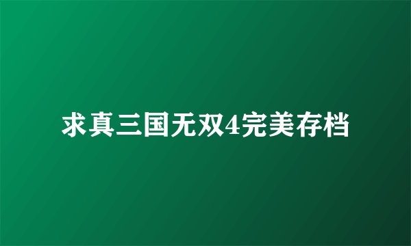 求真三国无双4完美存档
