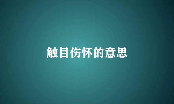 触目伤怀的意思
