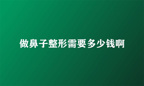 做鼻子整形需要多少钱啊
