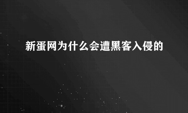 新蛋网为什么会遭黑客入侵的