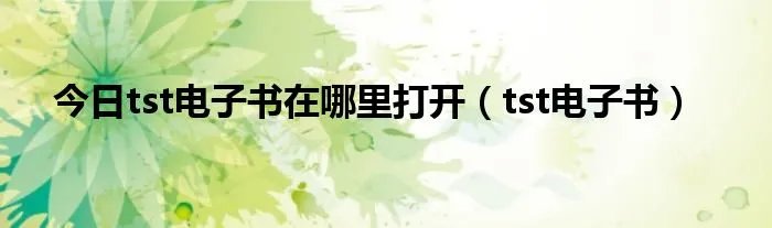 今日tst电子书在哪里打开（tst电子书）