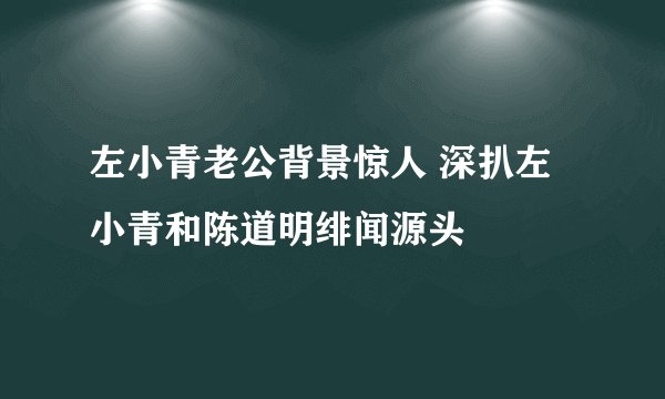 左小青老公背景惊人 深扒左小青和陈道明绯闻源头
