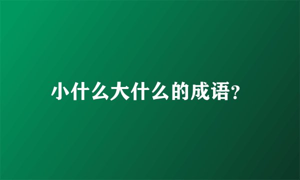 小什么大什么的成语？