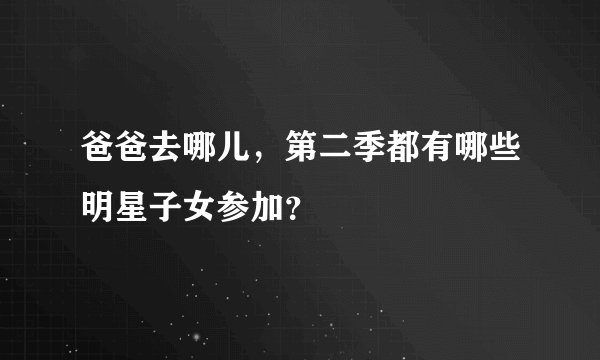 爸爸去哪儿，第二季都有哪些明星子女参加？