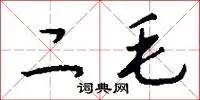 二毛