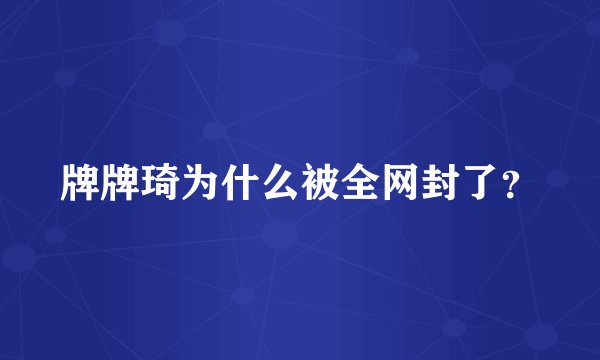 牌牌琦为什么被全网封了？