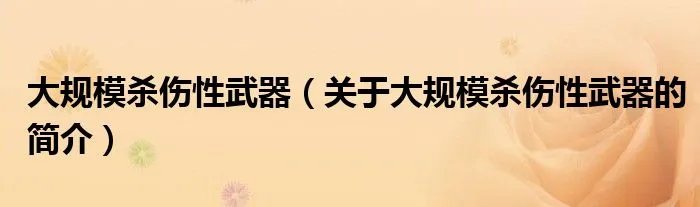 大规模杀伤性武器（关于大规模杀伤性武器的简介）