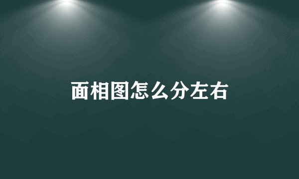 面相图怎么分左右