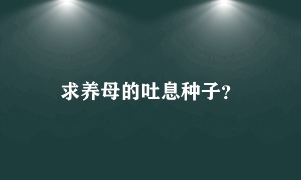 求养母的吐息种子？