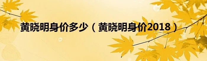 黄晓明身价多少（黄晓明身价2018）