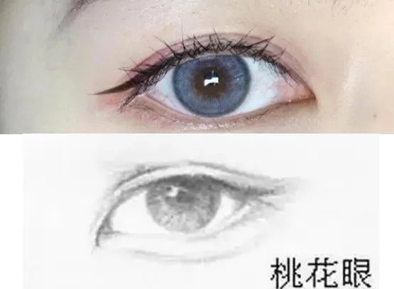 二十种眼形大全图解