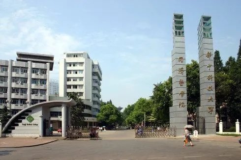 上海同济医科大学排名