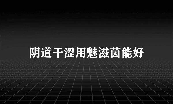阴道干涩用魅滋茵能好