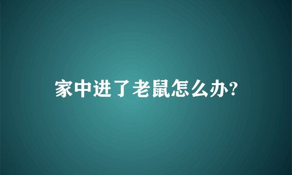 家中进了老鼠怎么办?