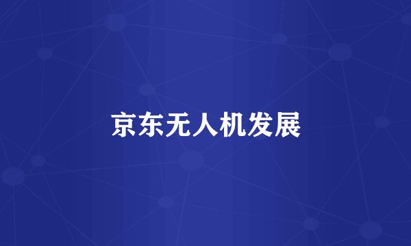 京东无人机发展