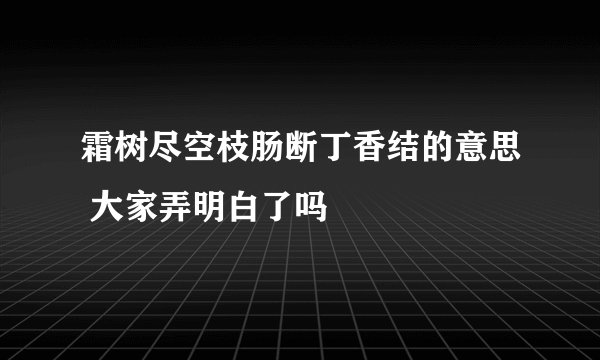 霜树尽空枝肠断丁香结的意思 大家弄明白了吗