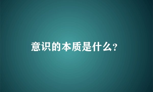 意识的本质是什么？