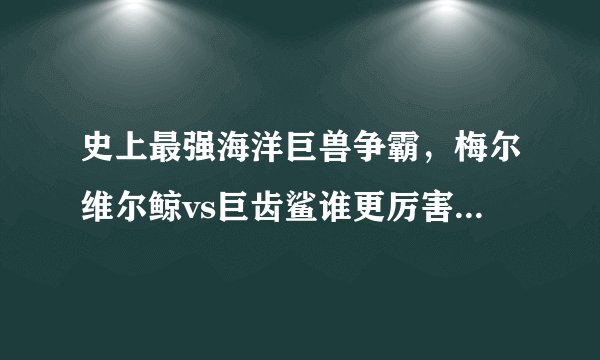史上最强海洋巨兽争霸，梅尔维尔鲸vs巨齿鲨谁更厉害(全面分析)