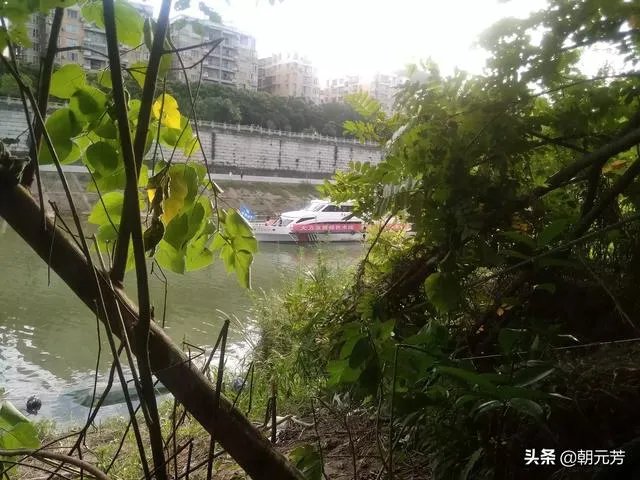 嘉陵江全江通航，千吨级船队可从广元直达上海, 你怎么看？