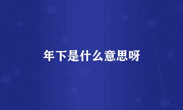 年下是什么意思呀