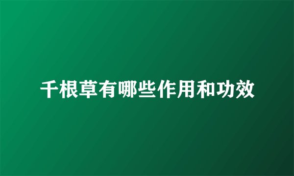 千根草有哪些作用和功效