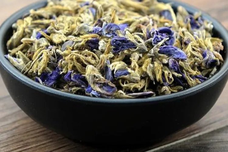 葛花图片大全