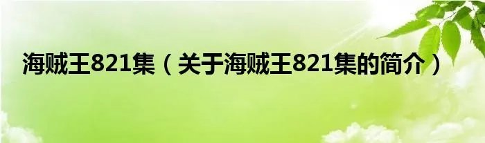 海贼王821集（关于海贼王821集的简介）