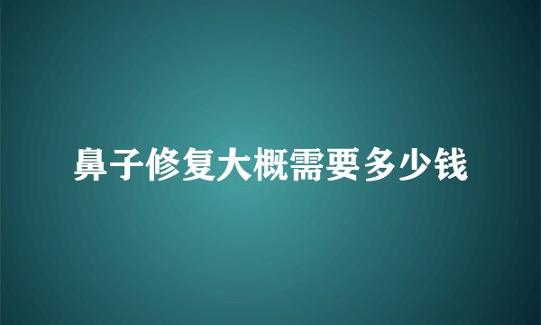 鼻子修复大概需要多少钱