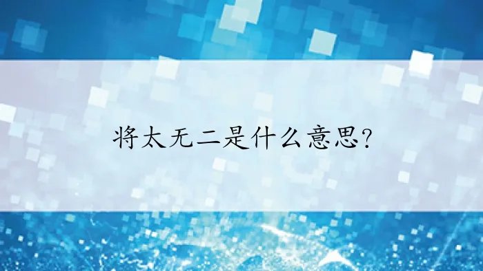 将太无二是什么意思？