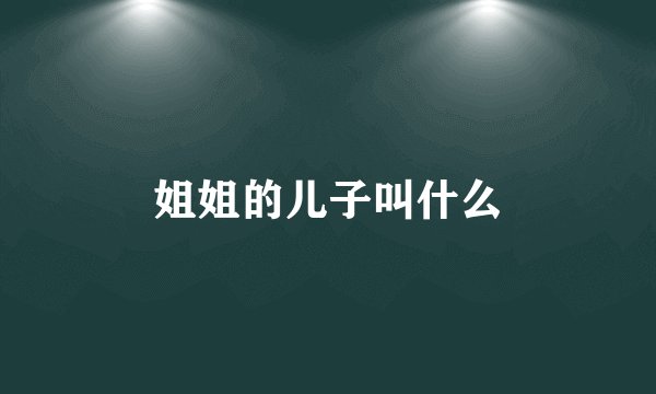 姐姐的儿子叫什么