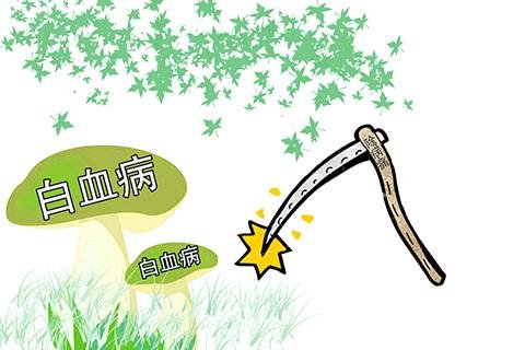 血癌是什么
