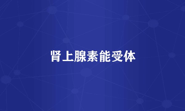 肾上腺素能受体