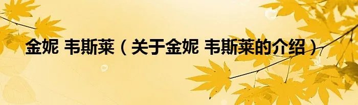 金妮 韦斯莱（关于金妮 韦斯莱的介绍）