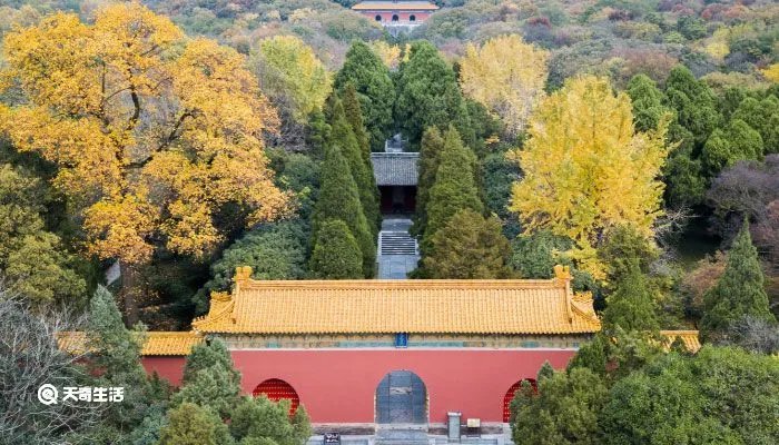 华东五市旅游攻略