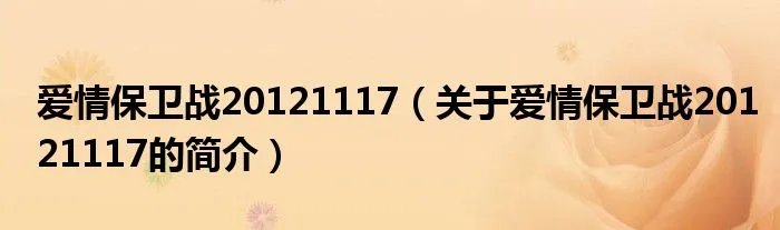 爱情保卫战20121117（关于爱情保卫战20121117的简介）