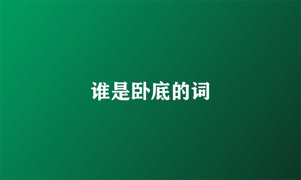 谁是卧底的词