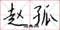 赵孤