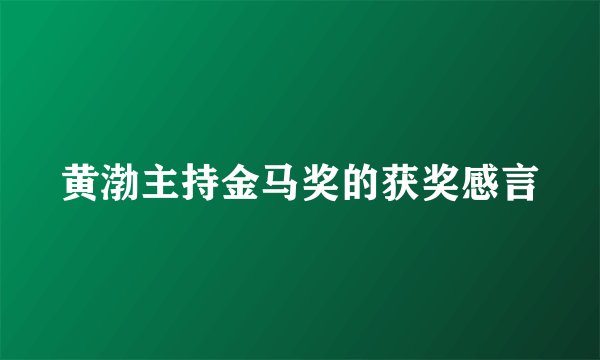 黄渤主持金马奖的获奖感言