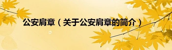 公安肩章（关于公安肩章的简介）