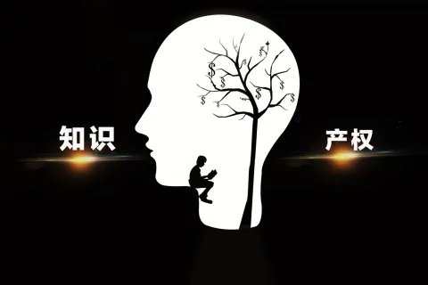 授权证书或授权通知书区别