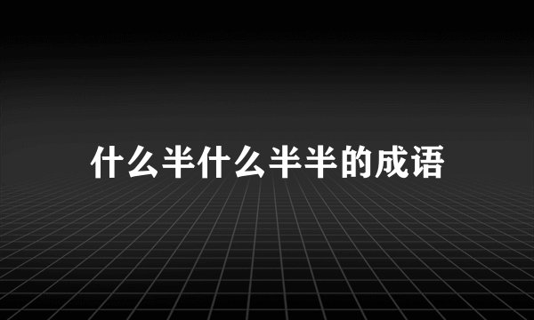 什么半什么半半的成语
