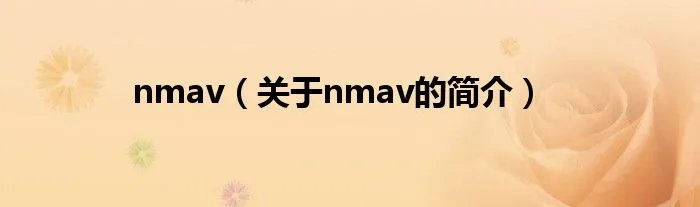 nmav（关于nmav的简介）