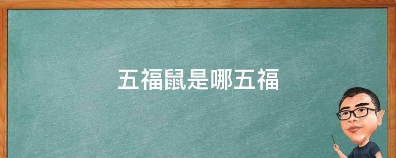 五福鼠是哪五福