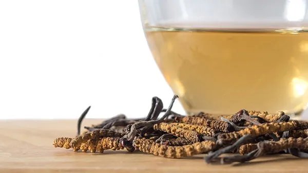 冬虫夏草吃法及用量是什么,吃冬虫夏草的注意事项有哪些?