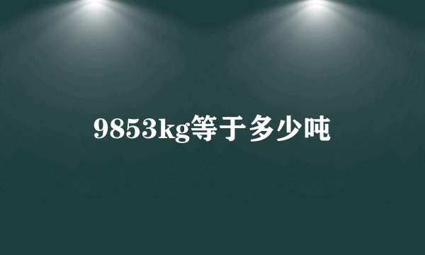 9853kg等于多少吨