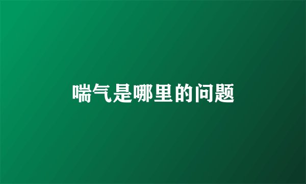 喘气是哪里的问题