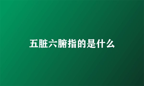 五脏六腑指的是什么