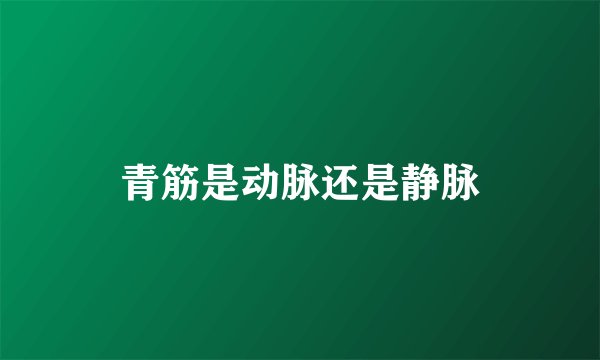 青筋是动脉还是静脉