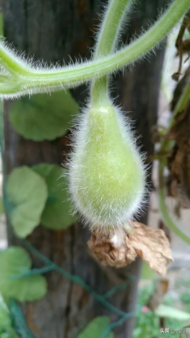 普通人怎么拍出好看的照片?